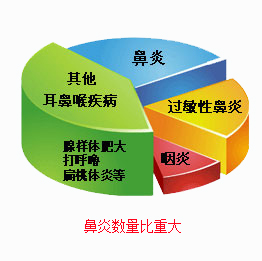 青少年高发耳鼻喉疾病